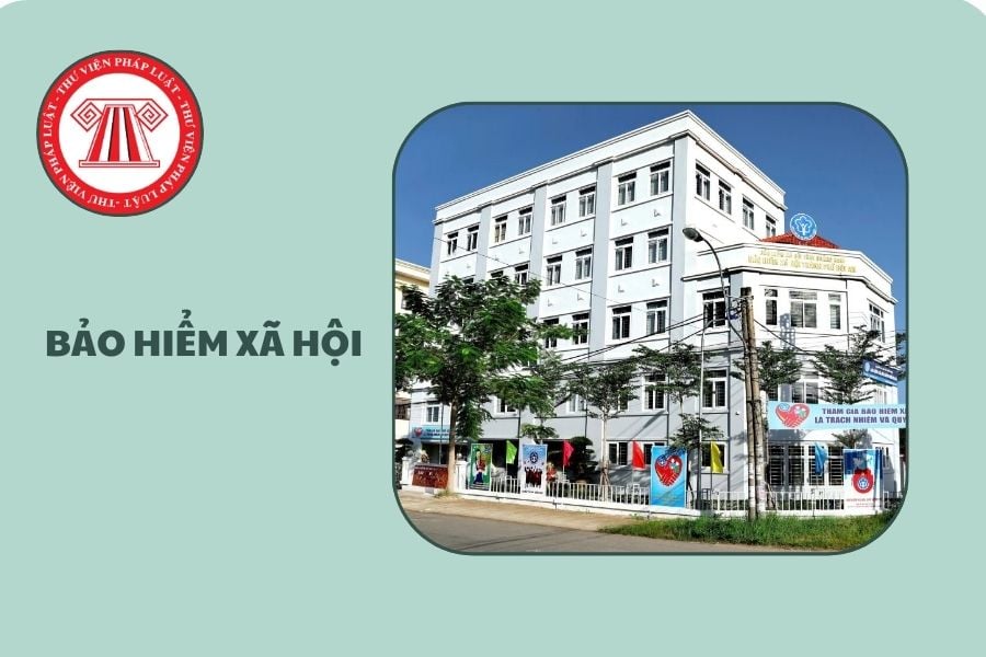 Hỏi đáp Pháp luật