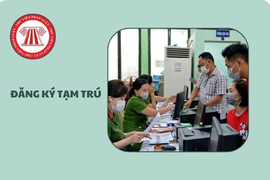 Hỏi đáp Pháp luật