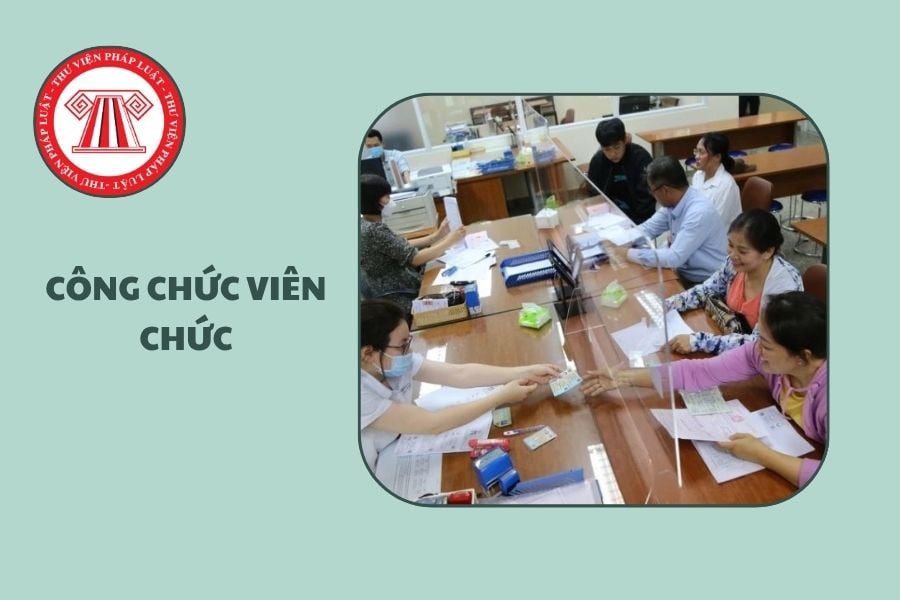 Hỏi đáp Pháp luật