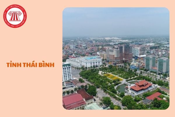 https://cdn.thuvienphapluat.vn/uploads/Hoidapphapluat/2025/NTKL/11022024/tinh-thai-binh%20(2).jpg