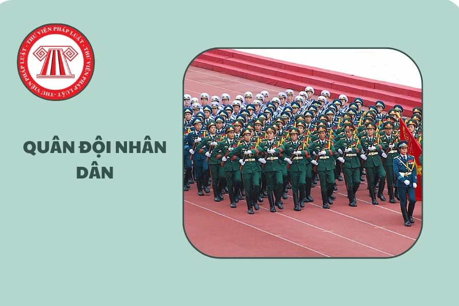 Hỏi đáp Pháp luật