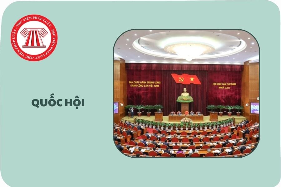 Hỏi đáp Pháp luật