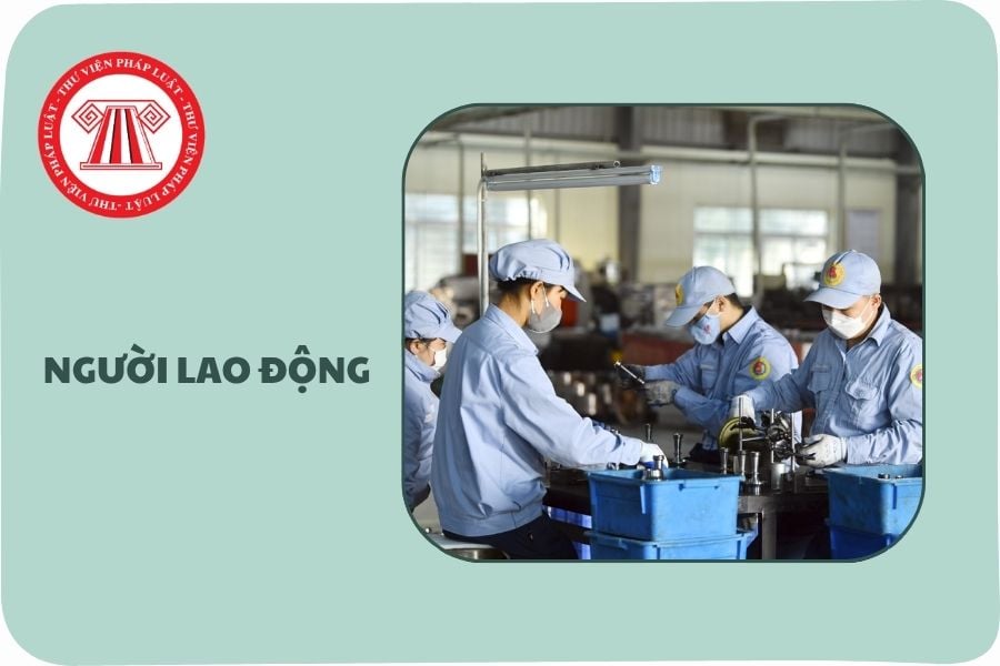 Hỏi đáp Pháp luật