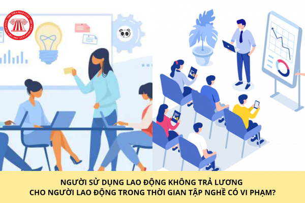 Người sử dụng lao động không trả lương cho người lao động trong thời gian tập nghề có vi phạm không?