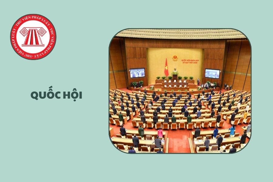Hỏi đáp Pháp luật