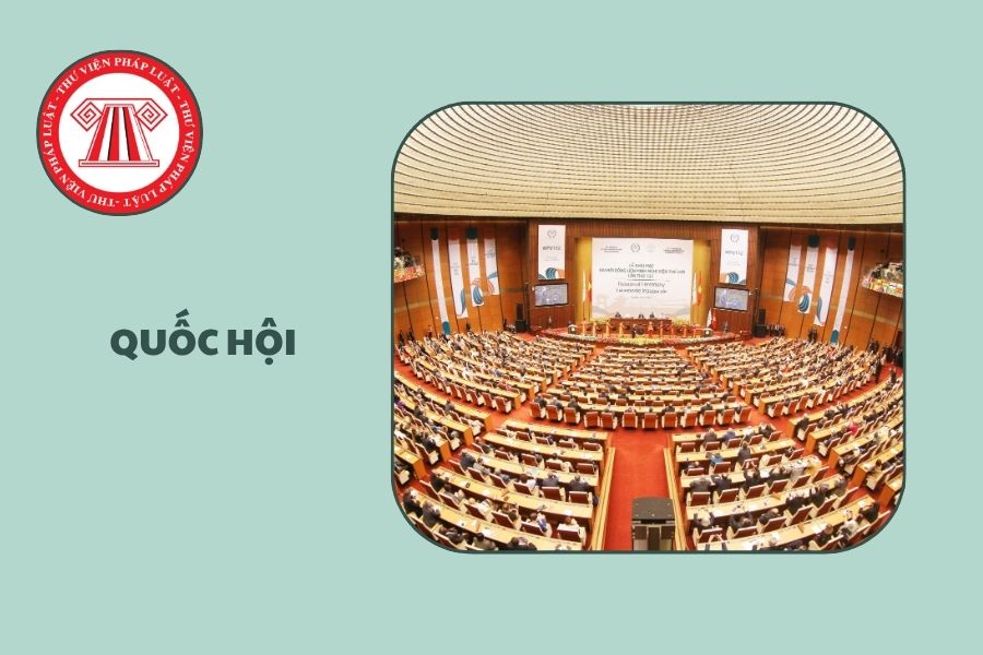 Hỏi đáp Pháp luật