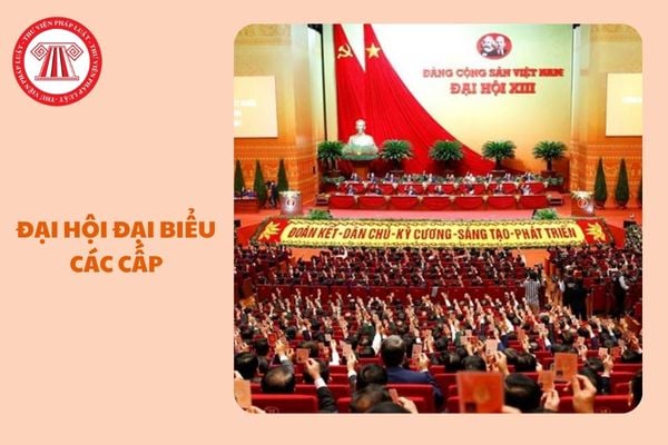 https://cdn.thuvienphapluat.vn/uploads/Hoidapphapluat/2025/NTKL/14012025/dai-hoi-dai-bieu-cac-cap.jpg