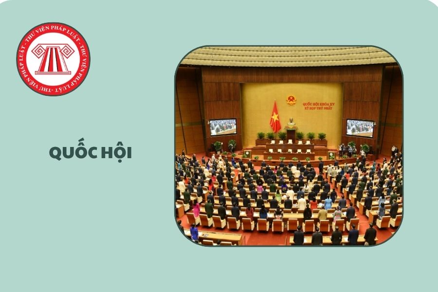 Hỏi đáp Pháp luật