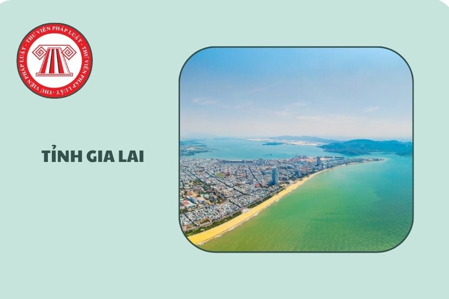 Hỏi đáp Pháp luật