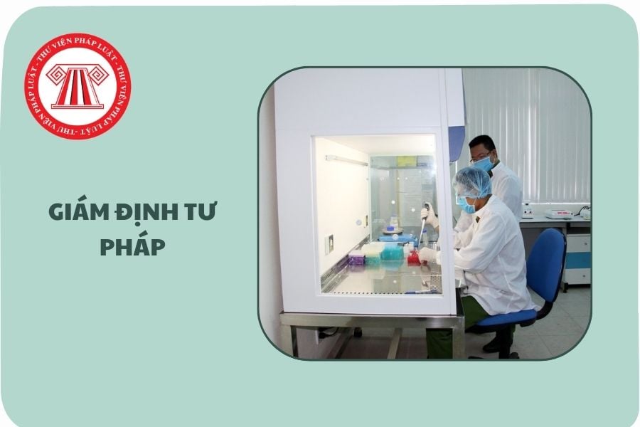 Hỏi đáp Pháp luật