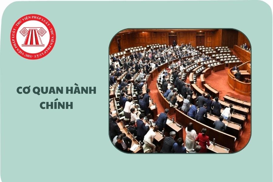 Hỏi đáp Pháp luật