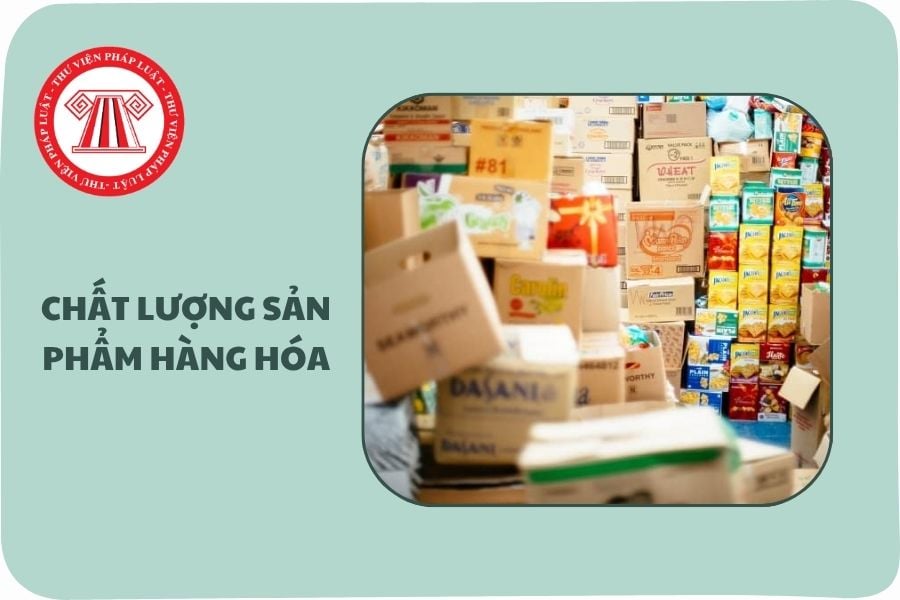 Hỏi đáp Pháp luật