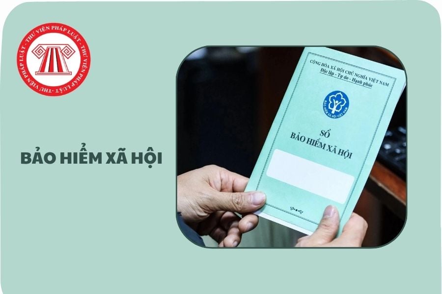 Địa chỉ 15 Bảo hiểm xã hội cơ sở tỉnh Tuyên Quang từ 01/10/2025 ở đâu?