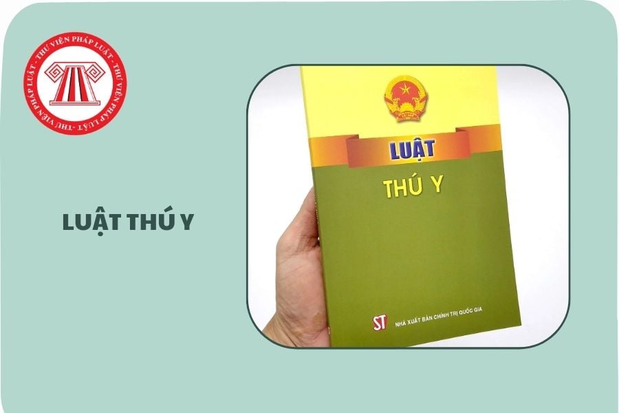 Hỏi đáp Pháp luật