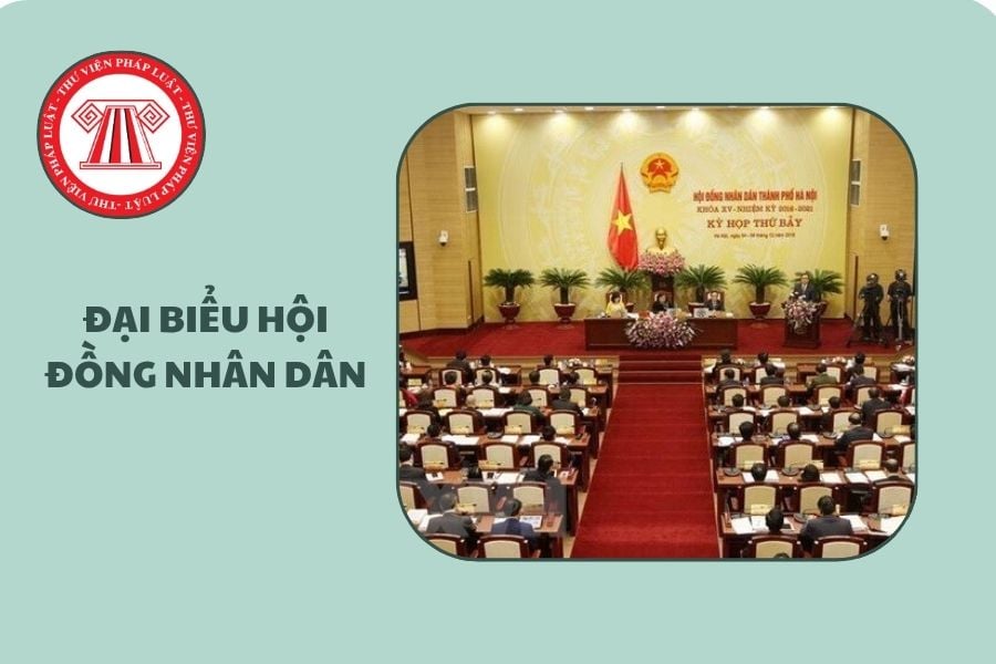 Hỏi đáp Pháp luật