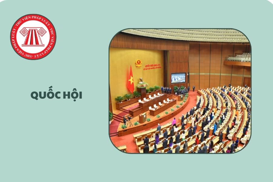 Hỏi đáp Pháp luật