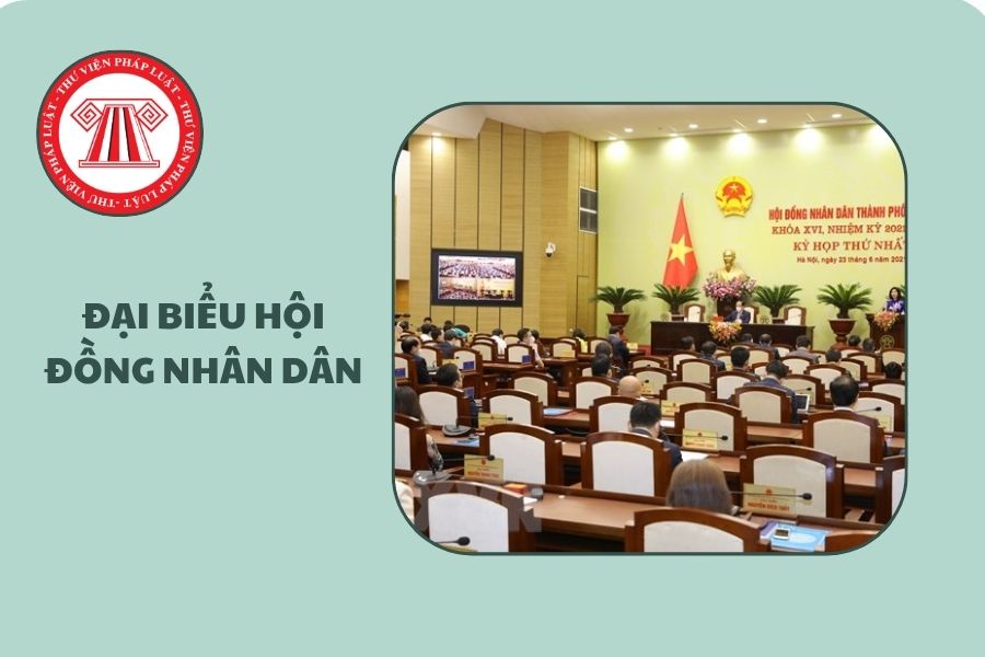 Hỏi đáp Pháp luật