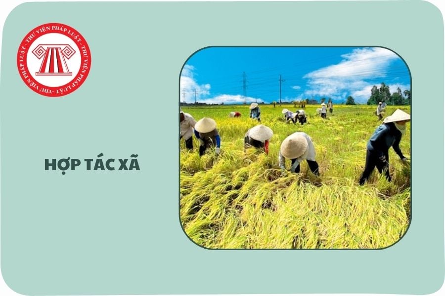 Hỏi đáp Pháp luật