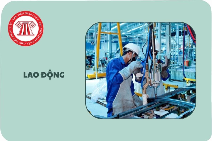 Hỏi đáp Pháp luật