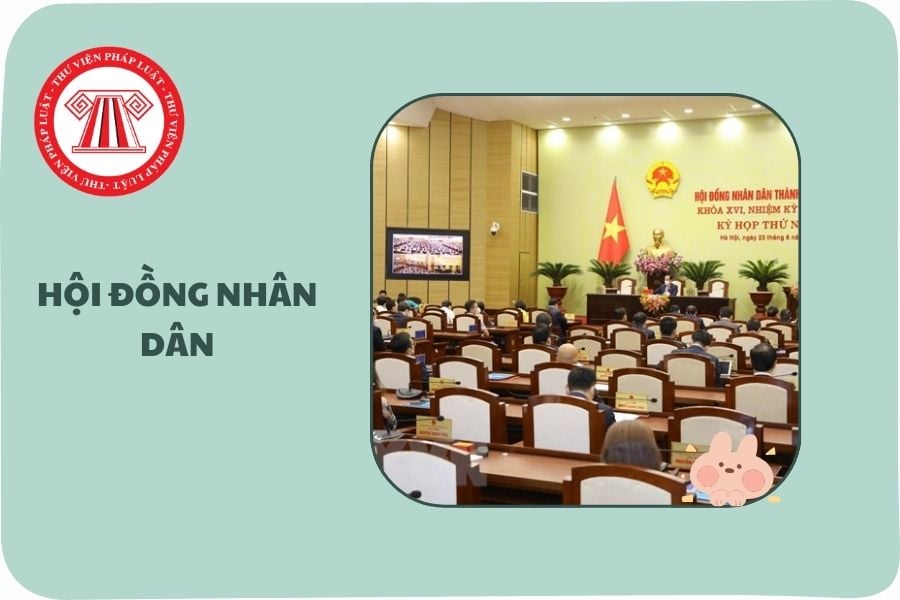 Hỏi đáp Pháp luật