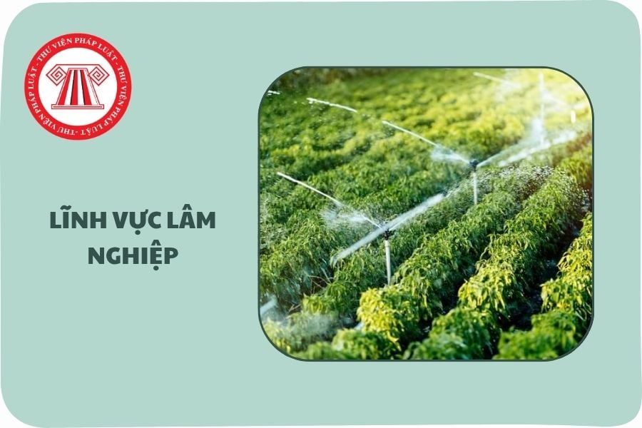 https://cdn.thuvienphapluat.vn/uploads/Hoidapphapluat/2025/NTKL/24062025/linh-vuc-lam-nghiep.jpg