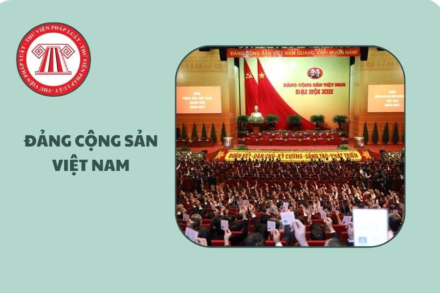 Hỏi đáp Pháp luật