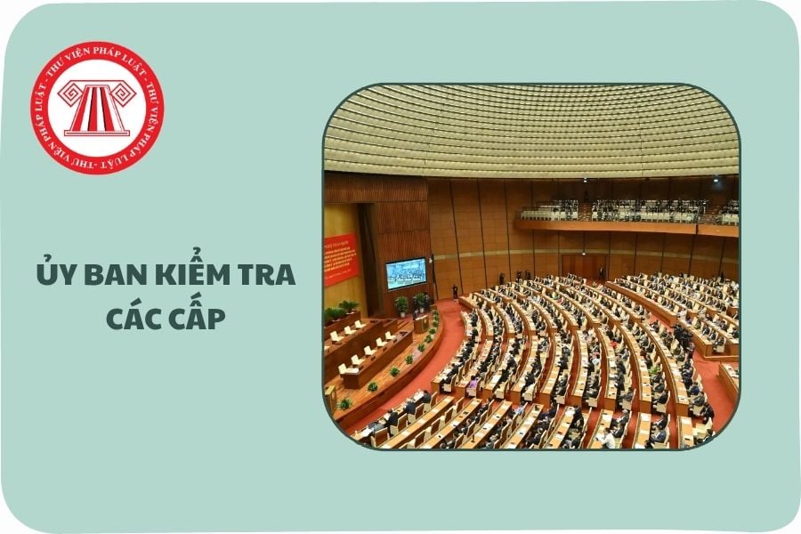 Hỏi đáp Pháp luật