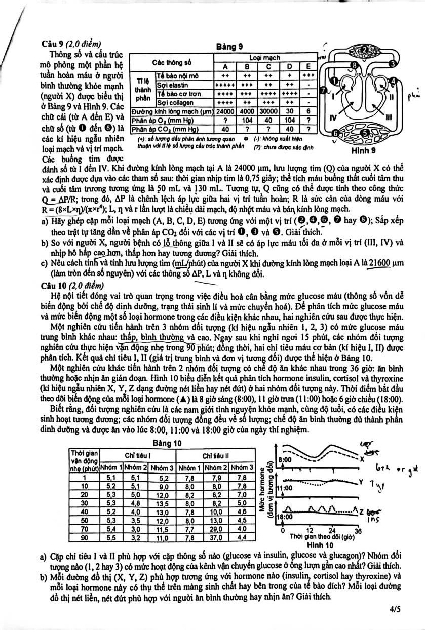 https://cdn.thuvienphapluat.vn/uploads/Hoidapphapluat/2025/NTKL/26122025/s-2.png