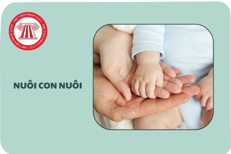Hỏi đáp Pháp luật