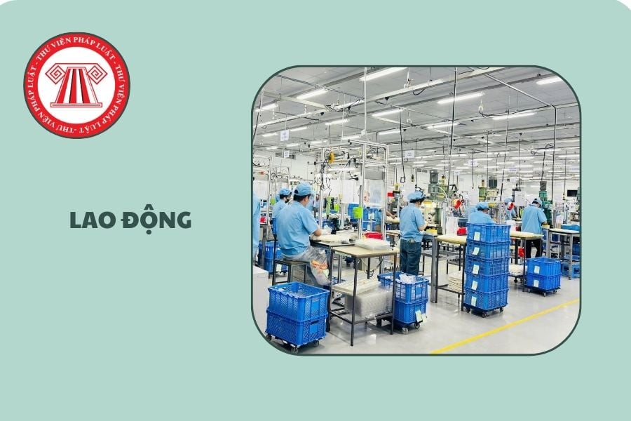 Hỏi đáp Pháp luật