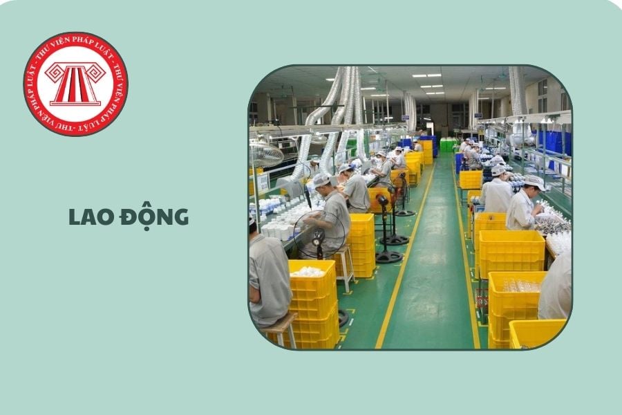 Hỏi đáp Pháp luật