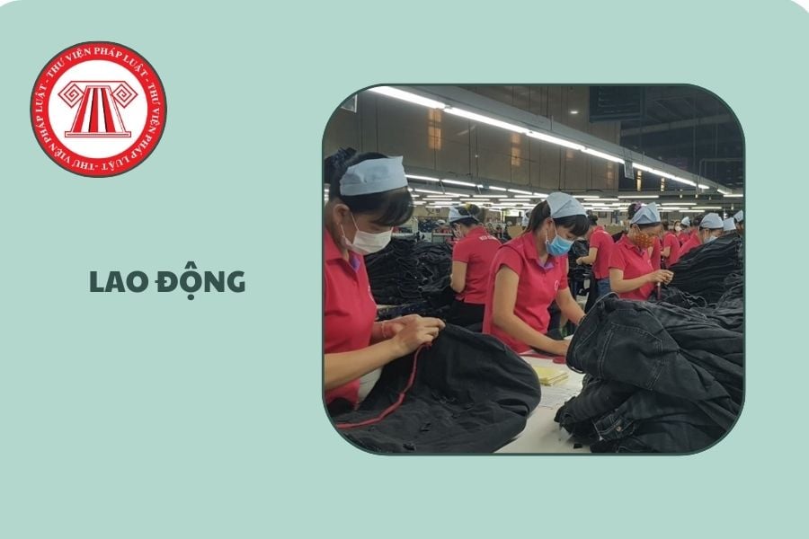 Lịch nộp báo cáo an toàn vệ sinh lao động năm 2025 ngày nào?