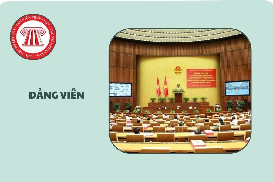 Hỏi đáp Pháp luật