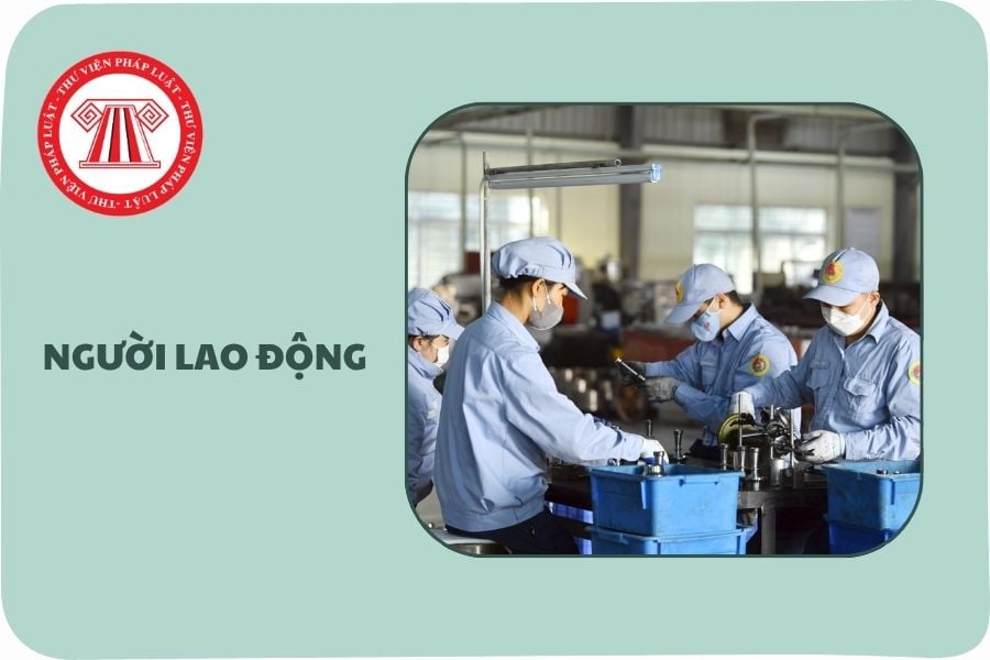 Hỏi đáp Pháp luật