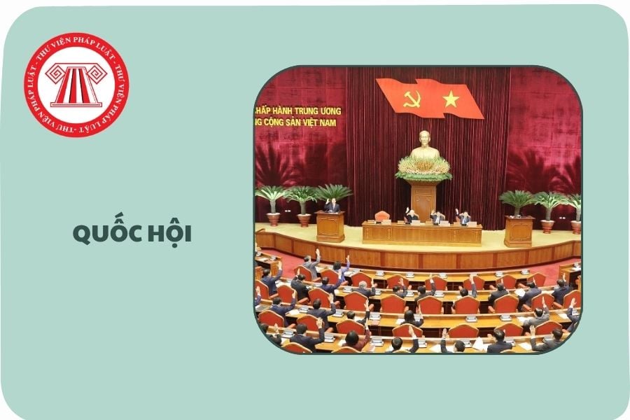 Hỏi đáp Pháp luật