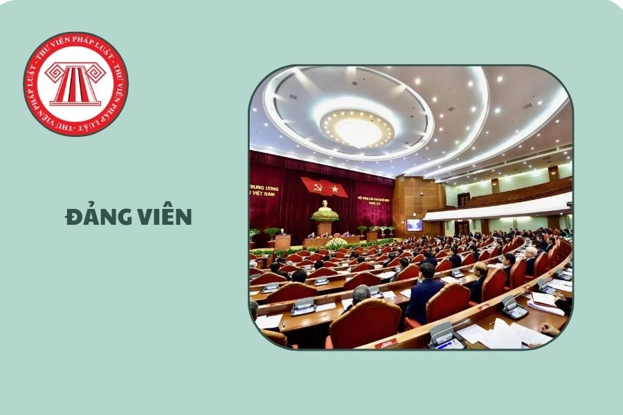 Hỏi đáp Pháp luật