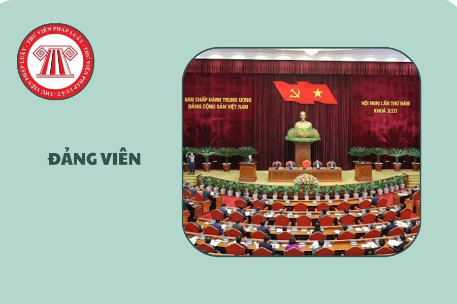 Hỏi đáp Pháp luật