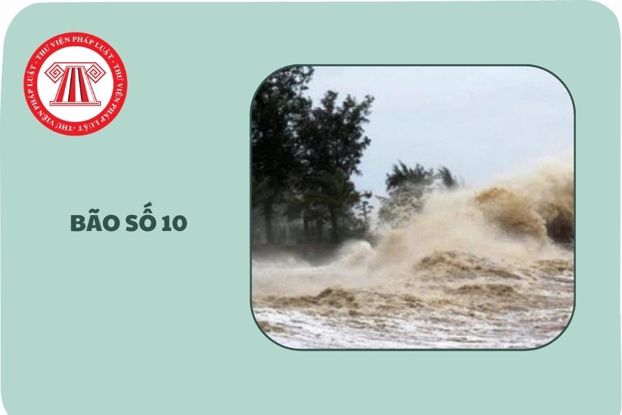 Đã có Công điện 176/CĐ-TTg ngày 29/9/2025 khẩn trương khắc phục hậu quả bão số 10 và mưa lũ thế nào?