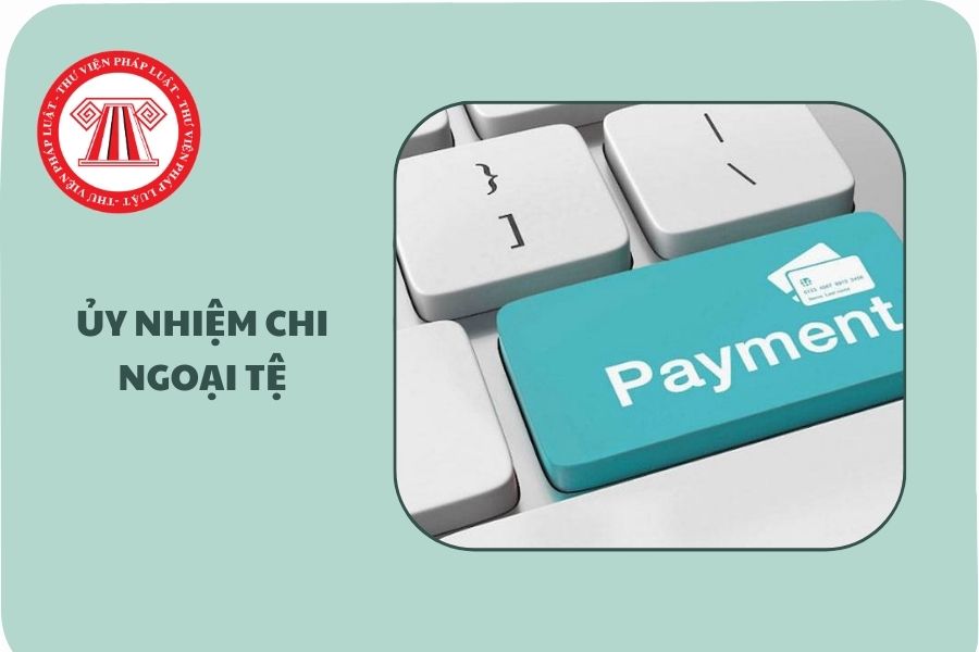 Mẫu Ủy nhiệm chi ngoại tệ 05.c/TT Nghị định 254 là mẫu nào?