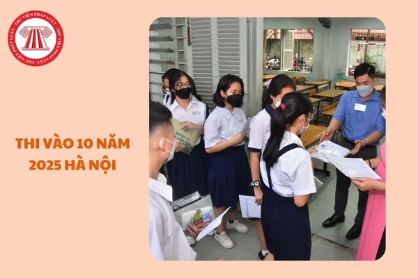 https://cdn.thuvienphapluat.vn/uploads/Hoidapphapluat/2025/NTKL/31032025/thi-vao-10.jpg