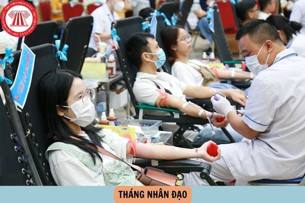 Pháp luật