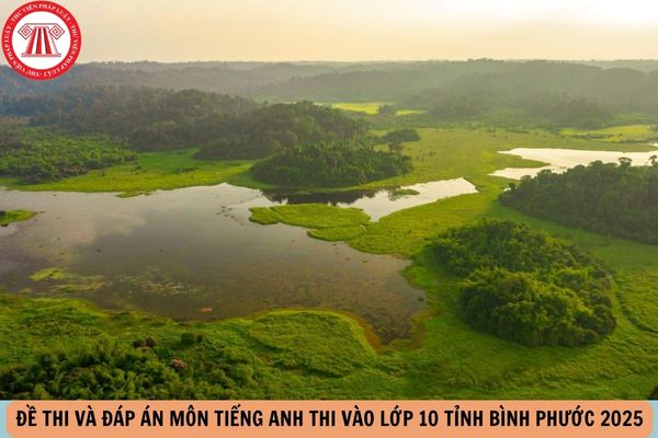 Đề thi và đáp án môn TIẾNG ANH thi vào lớp 10 tỉnh BÌNH PHƯỚC 2025 như thế nào?