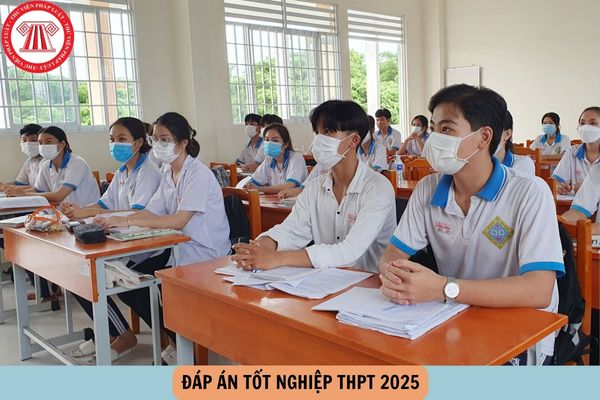 https://cdn.thuvienphapluat.vn/uploads/Hoidapphapluat/2025/NVT/2025/THANG6/27/hinh/hinhthpt2.jpg