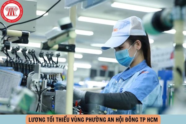 Hỏi đáp Pháp luật
