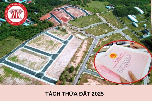 Điều kiện để tách thửa đất năm 2025 là gì? (Hình Internet)