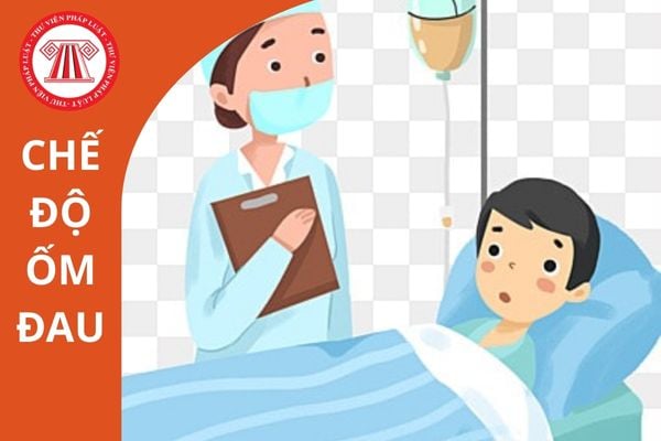 Hỏi đáp Pháp luật