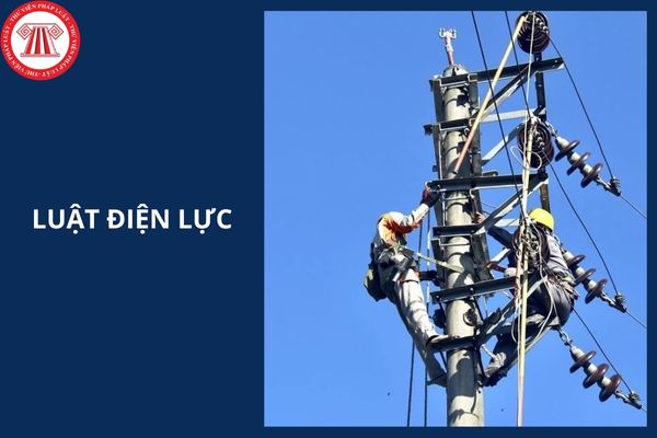 Nghị định hướng dẫn Luật Điện lực là văn bản nào?