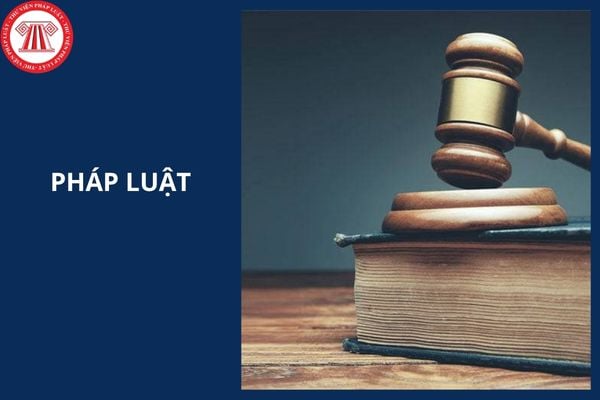 Hỏi đáp Pháp luật