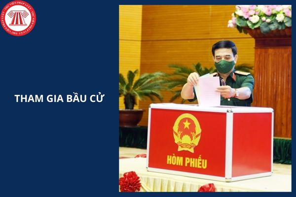 Cử tri là người đang bị tạm giam, tạm giữ, người đang chấp hành biện pháp đưa vào cơ sở giáo dục bắt buộc, cơ sở cai nghiện bắt buộc có được tham gia bầu cử không?
