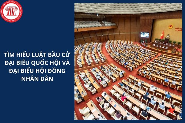 Hỏi đáp Pháp luật